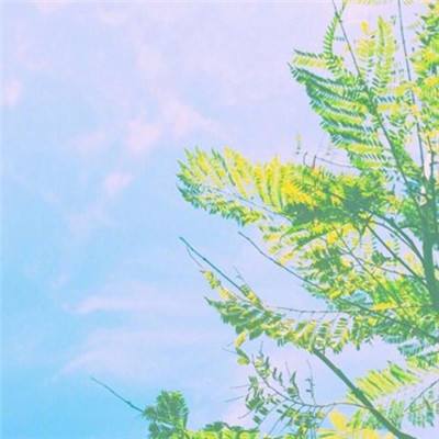 血战长空3d手游下载